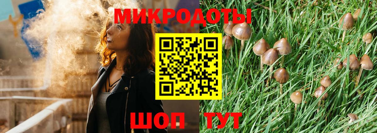 Кашира  цена наркотик  Галлюциногенные грибы прущие грибы  Вход с VPN  Галлюциногенные грибы GOLDEN TEACHER 